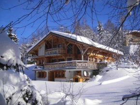 Chalet cosy 12 pers. à 1km des pistes, 5 ch., WiFi, cheminée, abri voiture - FR-1-572-30